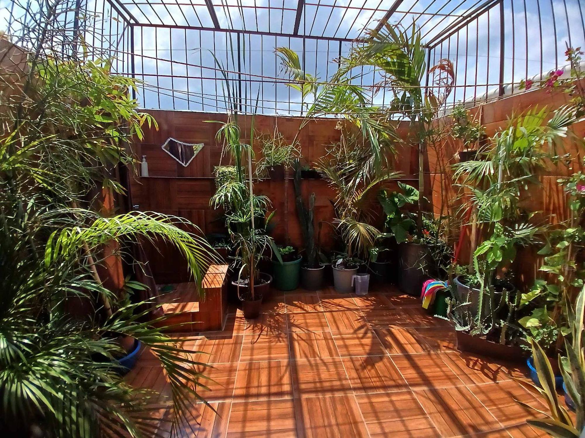 Casa Del Chef Lupita Villa Campeche Bagian luar foto