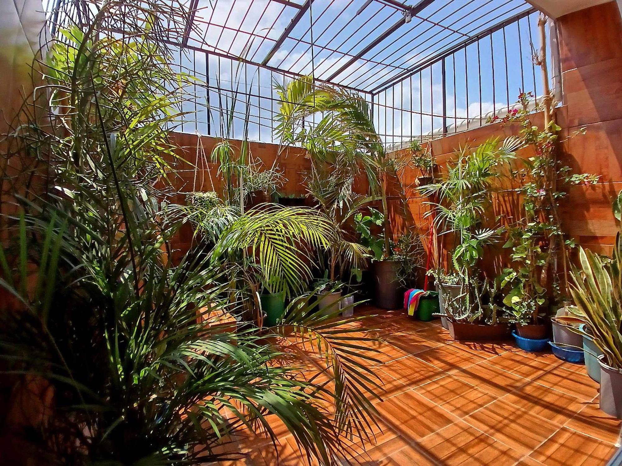 Casa Del Chef Lupita Villa Campeche Bagian luar foto